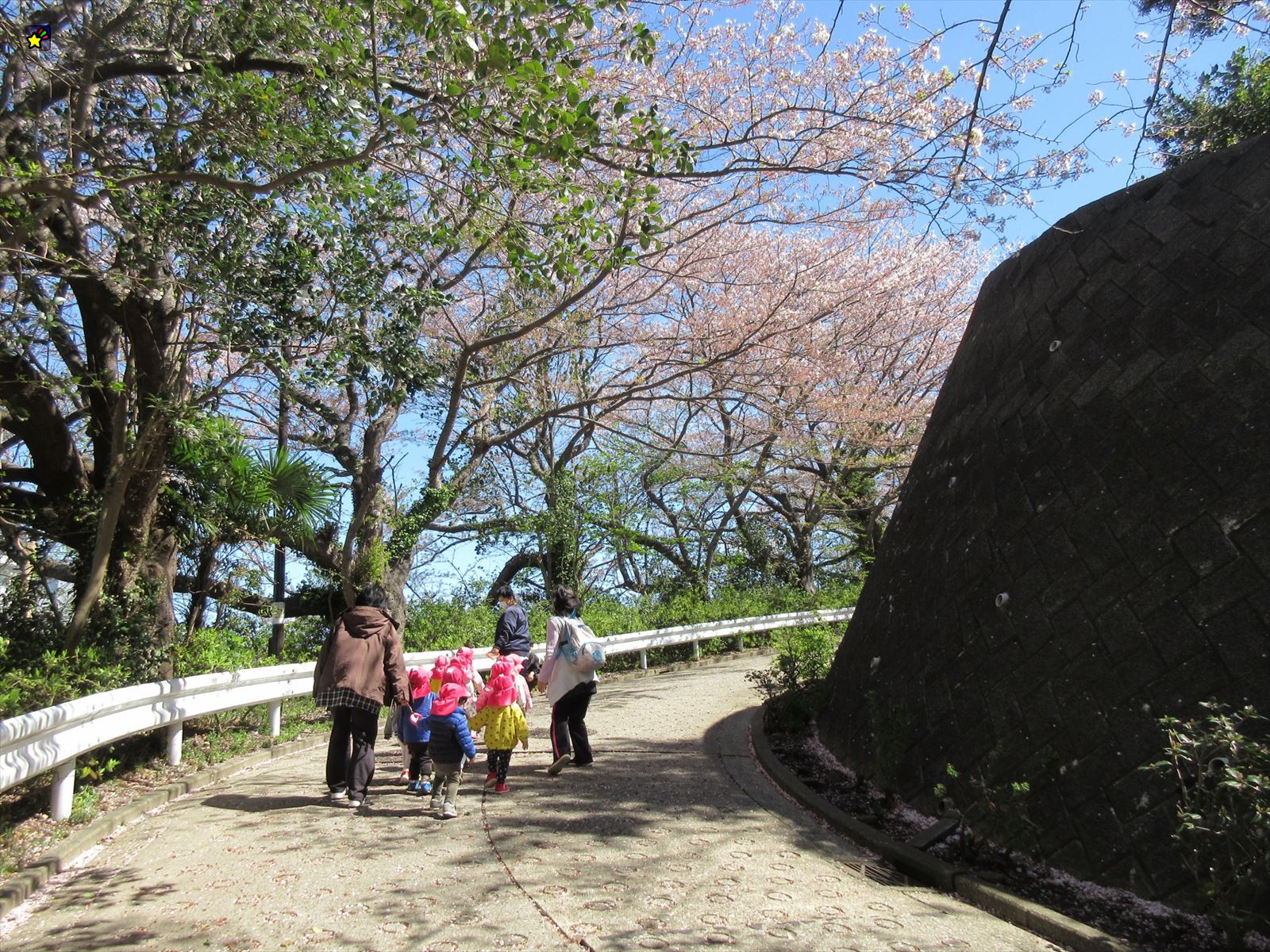 保護中: 保育点景　４月
