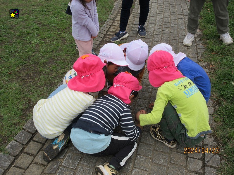 保護中: 第一回親と子のつどい　ほしぐみの写真集