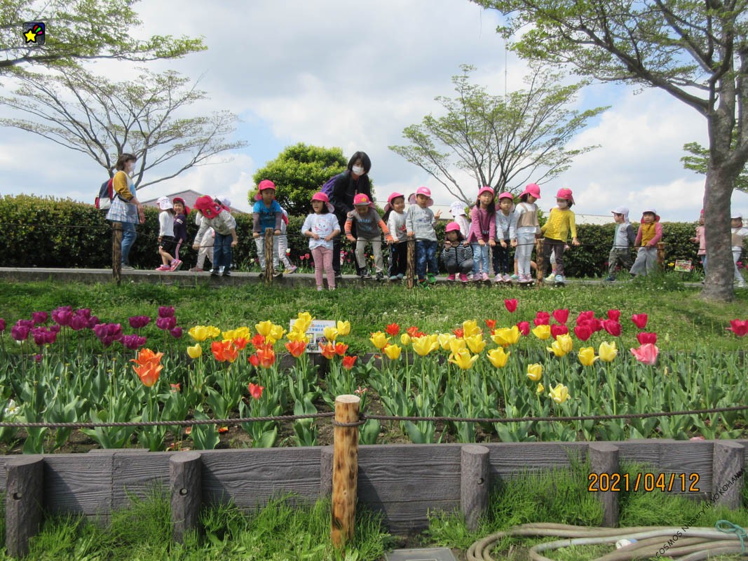 4月5月　保育点景　ほしぐみ