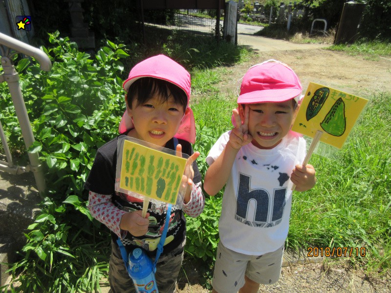 ほしぐみ　農園に行きました。7月10日（火）