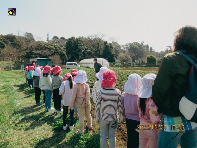 農園ひきつぎ式　ほしぐみ→にじぐみへ