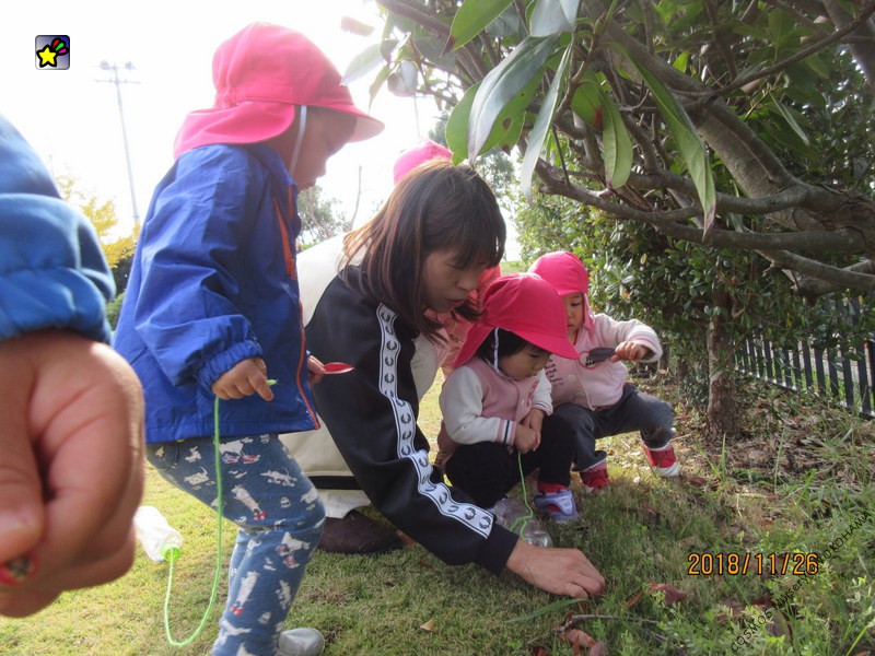 保護中: 保育点景(乳児)　11月