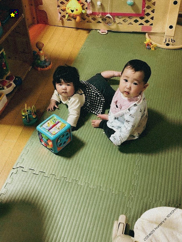 保護中: 第１回　COSMOS保育園　親と子のつどい（はなとりぐみ）