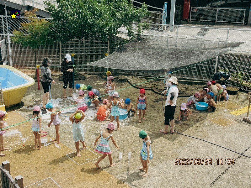 保護中: 幼児　夏の遊び・様子（7月・8月）