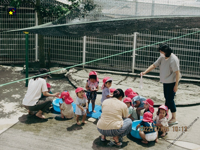 保護中: はな・とりぐみ　夏の遊び・様子（7月・8月）
