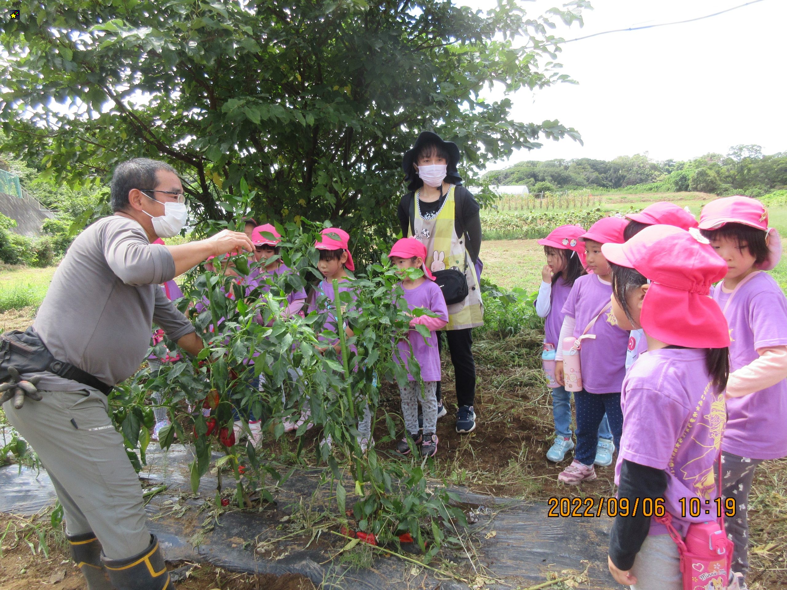 農園に行ってきました！（ほしぐみ）