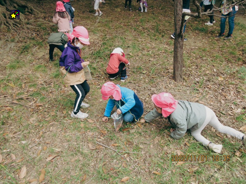 秋の遠足「洋光台西公園」（幼児クラス）