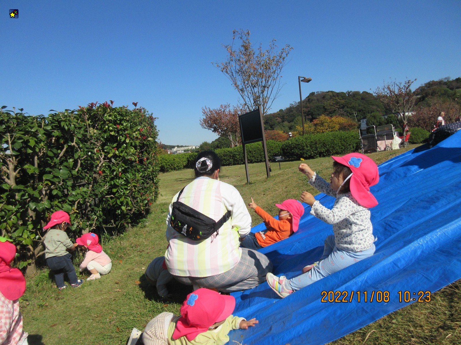 保護中: おさんぽ　だいすき！（はなぐみ・とりぐみ）