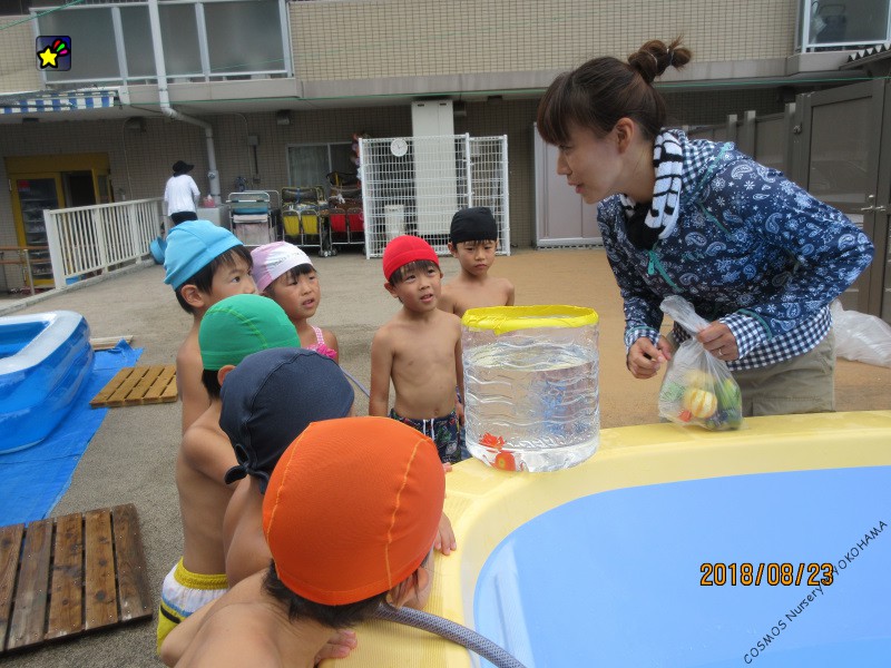 農園のお野菜、水に沈めたら浮くかな？沈むかな？　ほしぐみ
