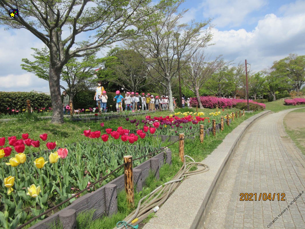 保護中: 4月・5月保育点景（にじ・ほしぐみさん）