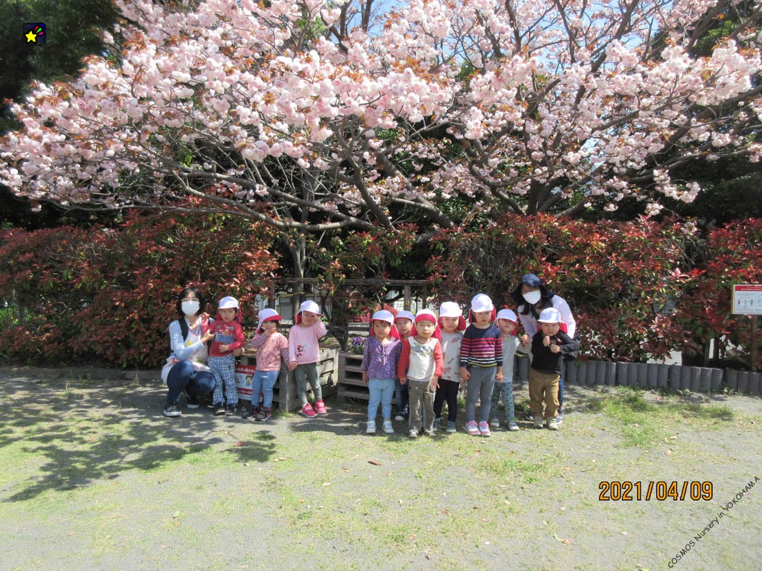 ４月・５月保育点景　（つきぐみさん）