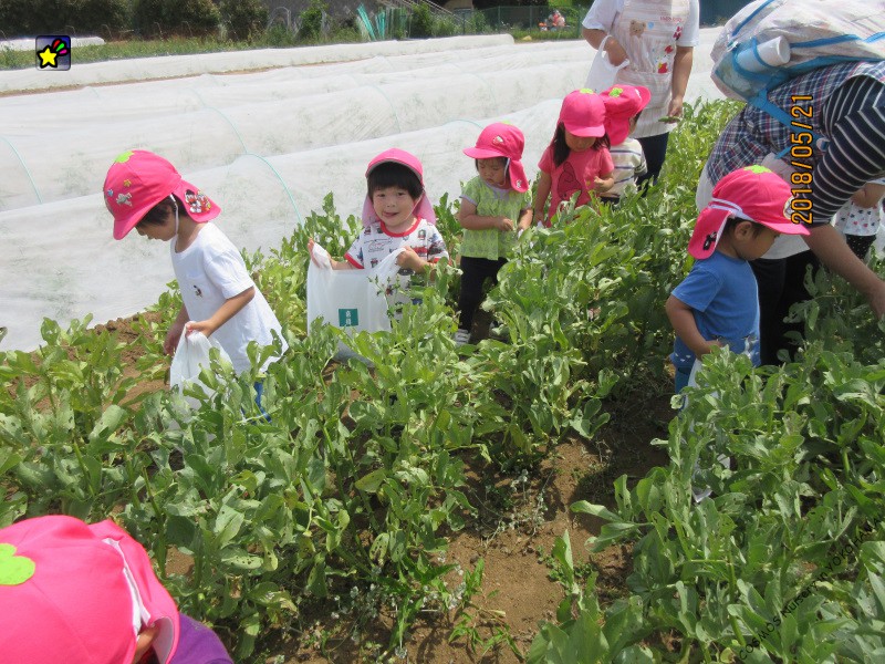 保護中: そらまめギャラリー