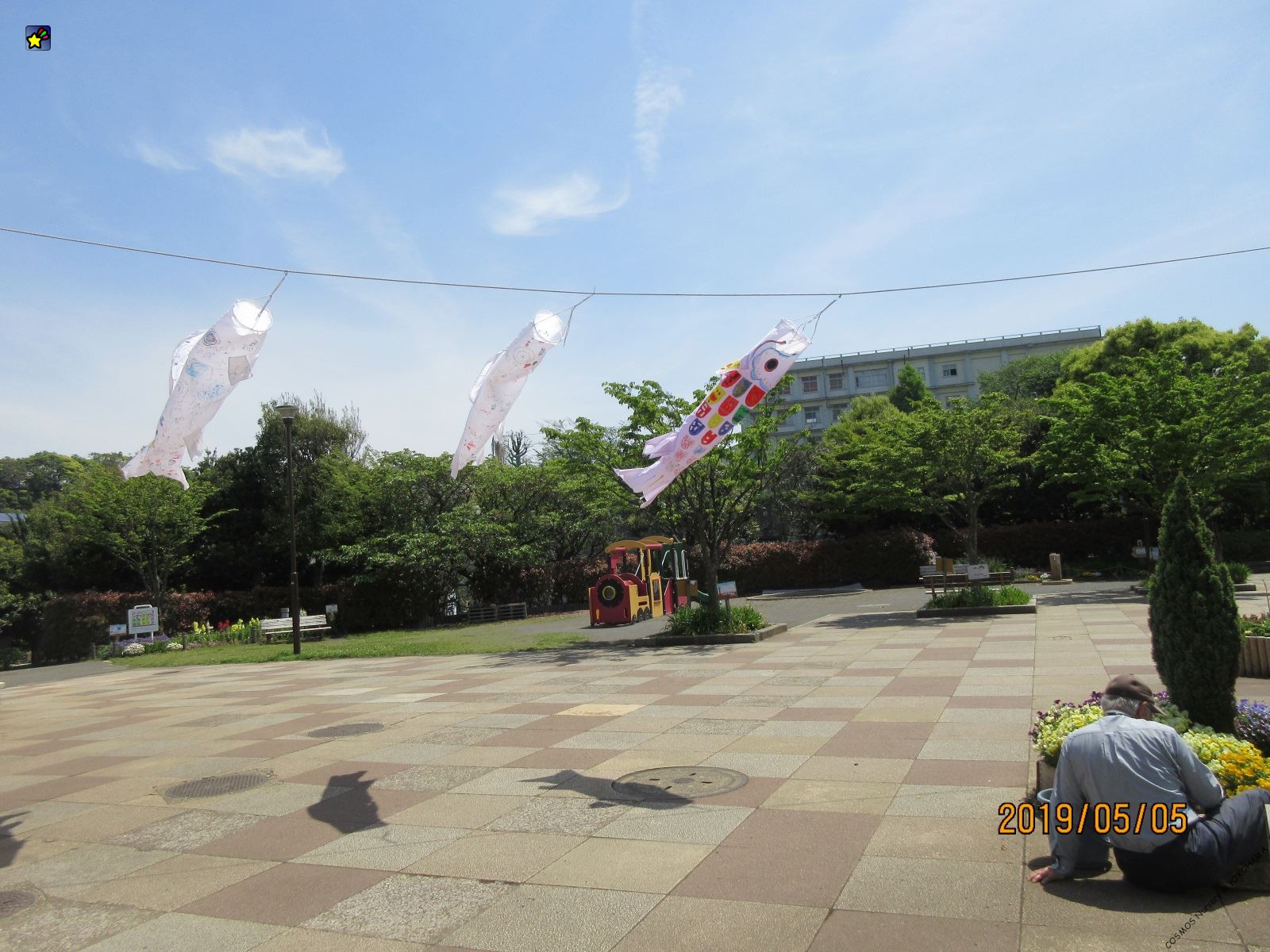 保護中: みんなで作ったこいのぼり（幼児クラス）