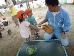 IMG_0778_convert_20130702173847.jpg