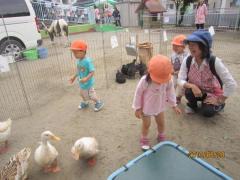 IMG_0801_convert_20130702174148.jpg